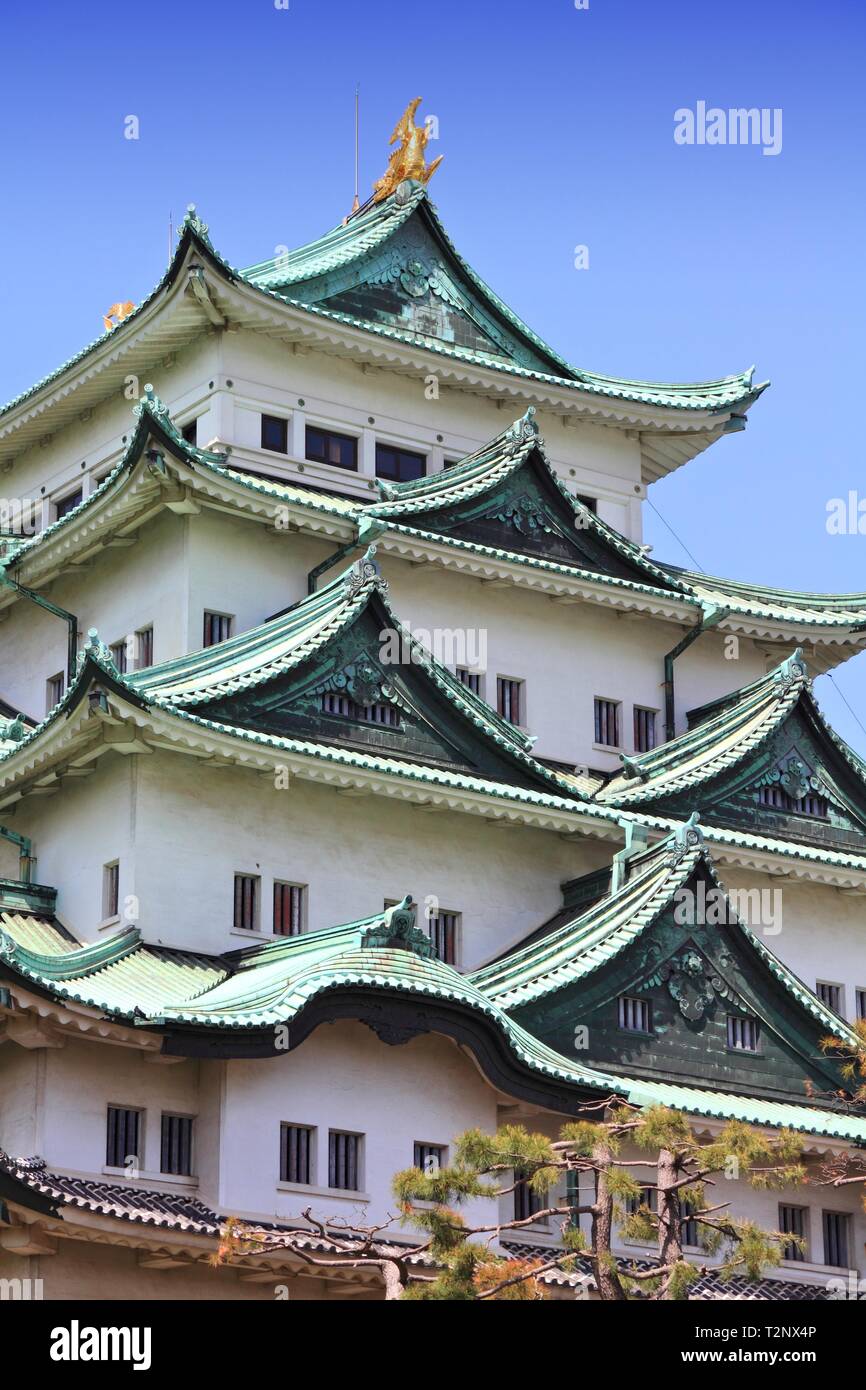 Nagoya, Japon - ville dans la région de Chubu dans la préfecture d'Aichi. Château Nagoya-jo. Banque D'Images