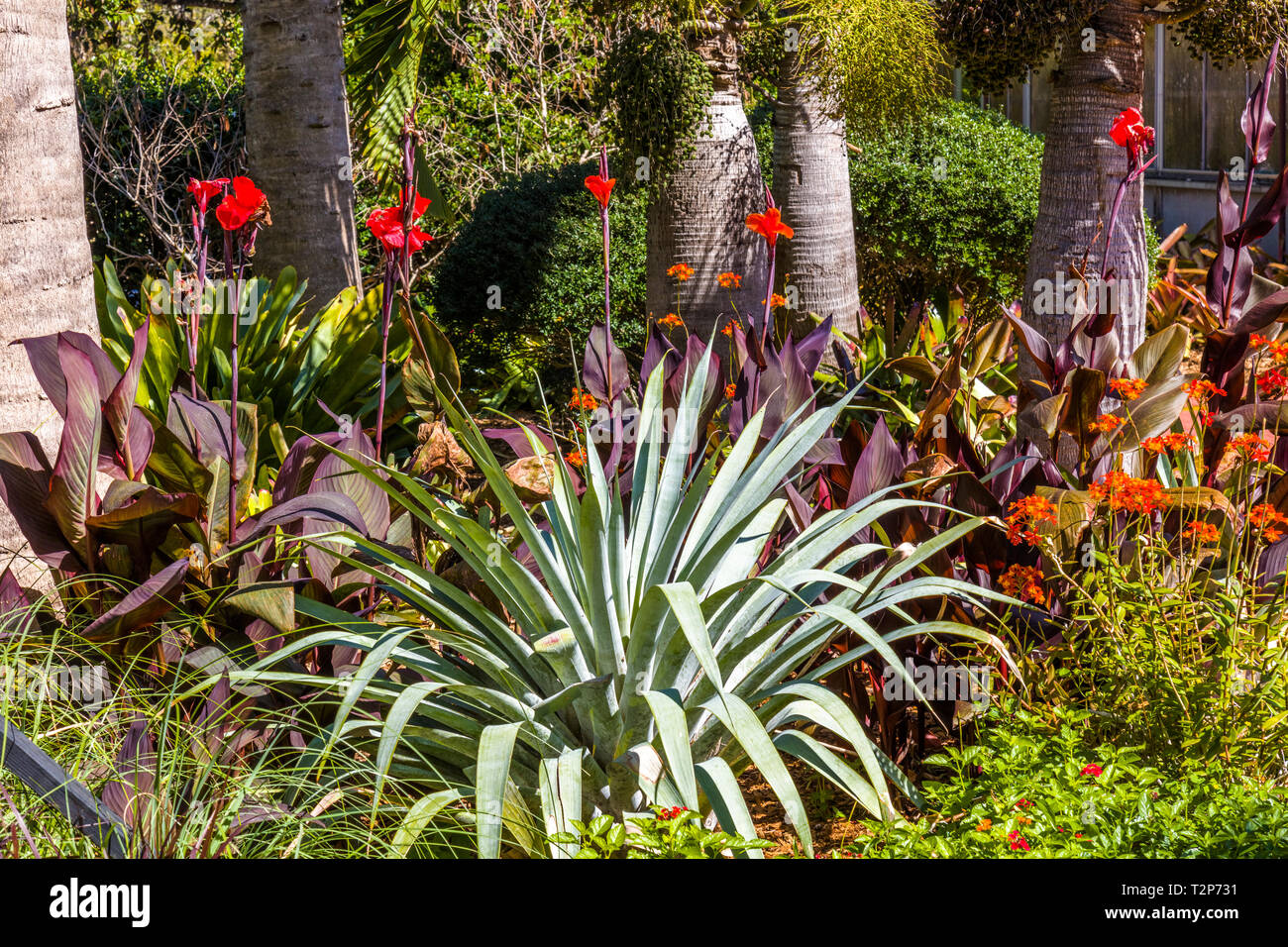 Marie Selby Botanical Gardens à Sarasota en Floride Banque D'Images