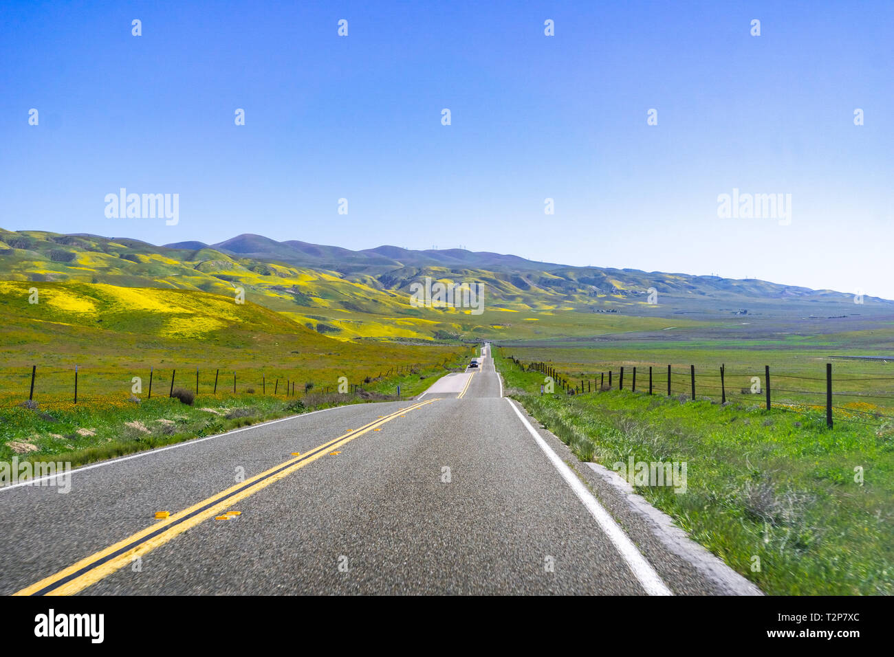 Route pavée traversant montagnes couvertes de fleurs sauvages, Carrizo Plain National Monument, le Centre de la Californie Banque D'Images
