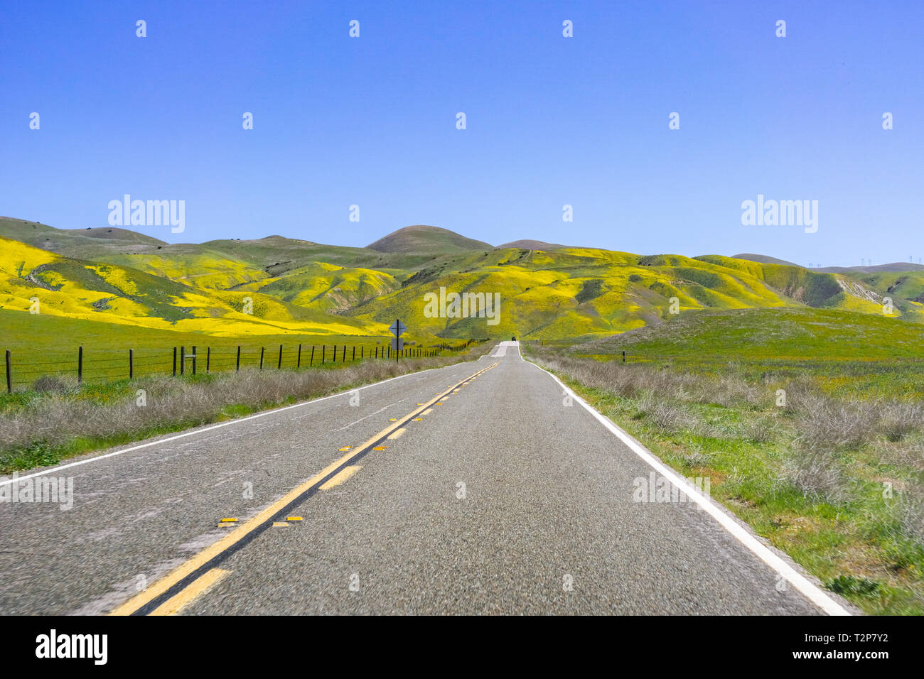 Route pavée traversant montagnes couvertes de fleurs sauvages, Carrizo Plain National Monument, le Centre de la Californie Banque D'Images