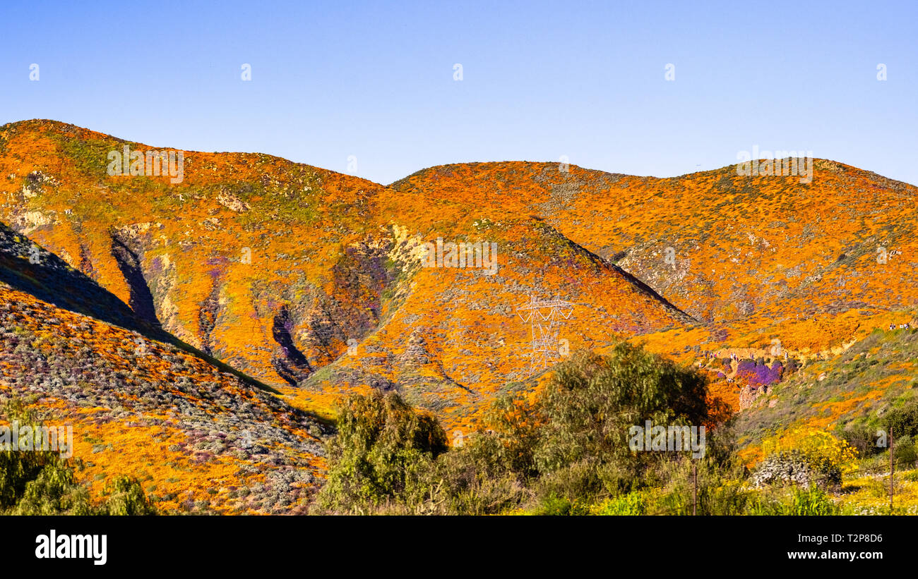 Paysage de Canyon au cours de l'superbloom Walker, coquelicots de Californie couvrant la vallée de montagnes et de crêtes, Lake Elsinore, Californie du sud Banque D'Images