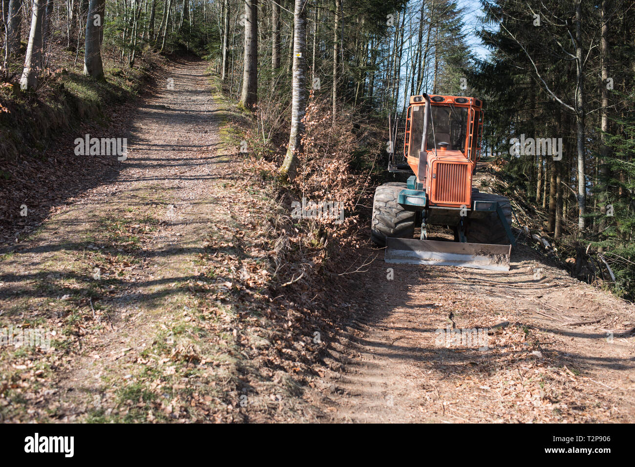 Machine forestière dans une forêt en Europe Banque D'Images