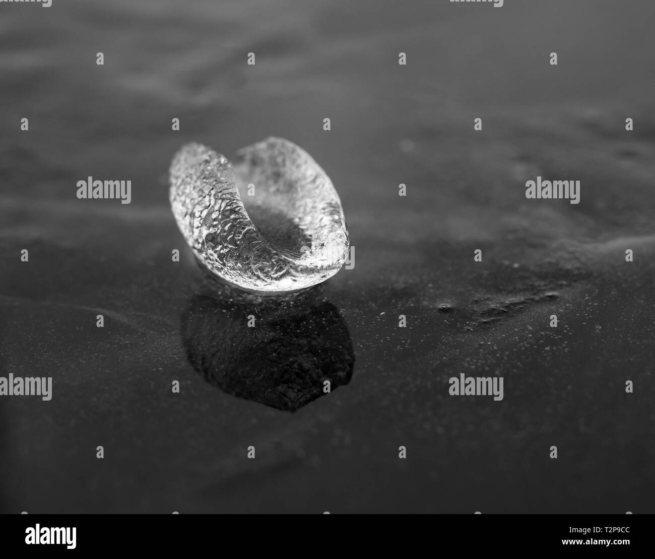 J'ai pris cette photo au petit matin avec mon Olympus micro-lentille. J'aime vraiment la texture de la glace. Ce sont la création de la Mère Nature. Banque D'Images