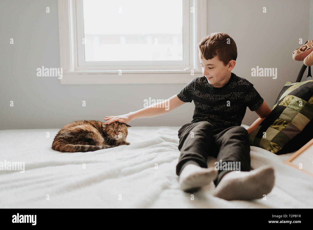 Garçon de caresser la tête de chat sur le lit Banque D'Images
