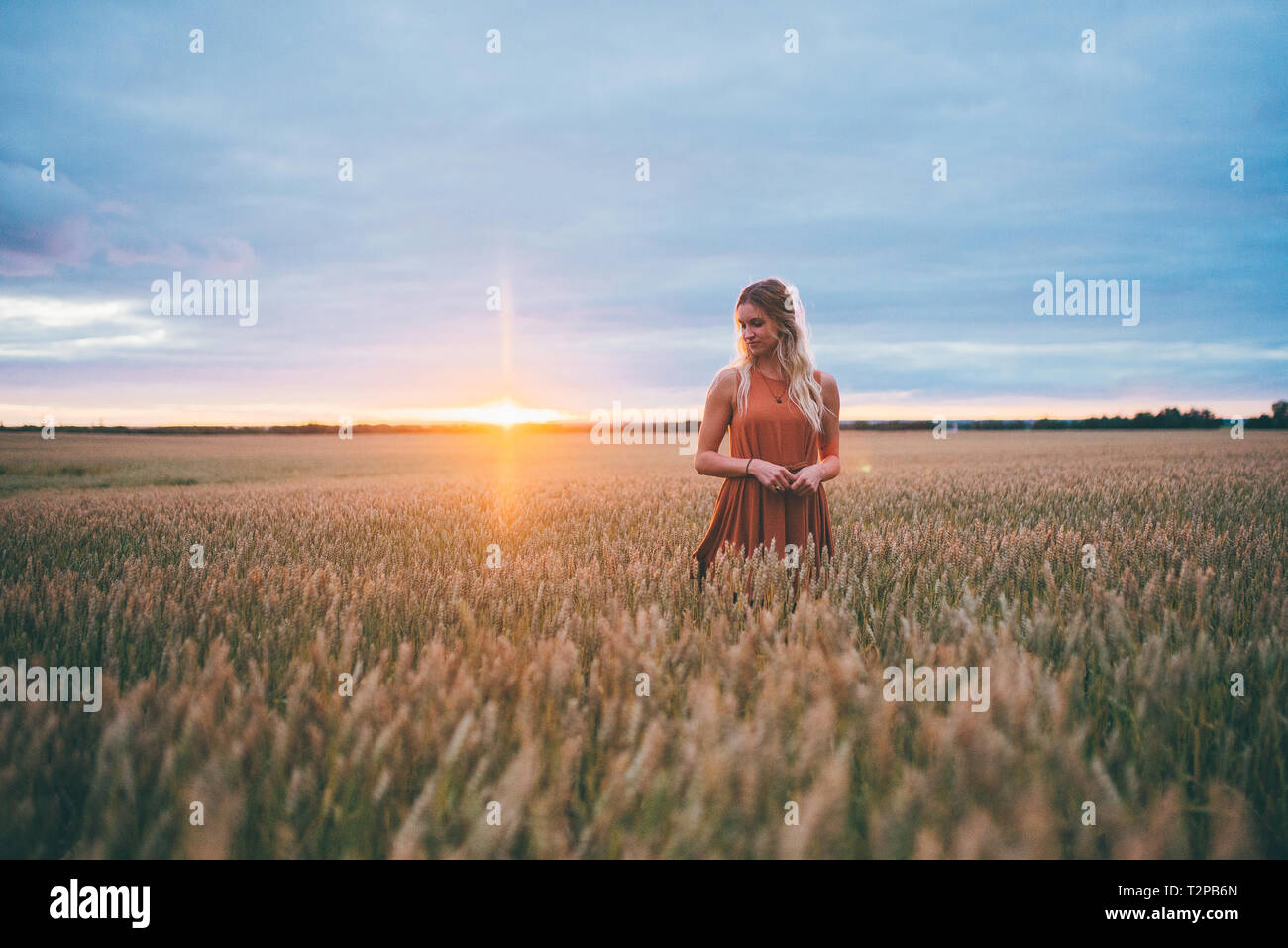 Woman enjoying champ de blé, Edmonton, Canada Banque D'Images