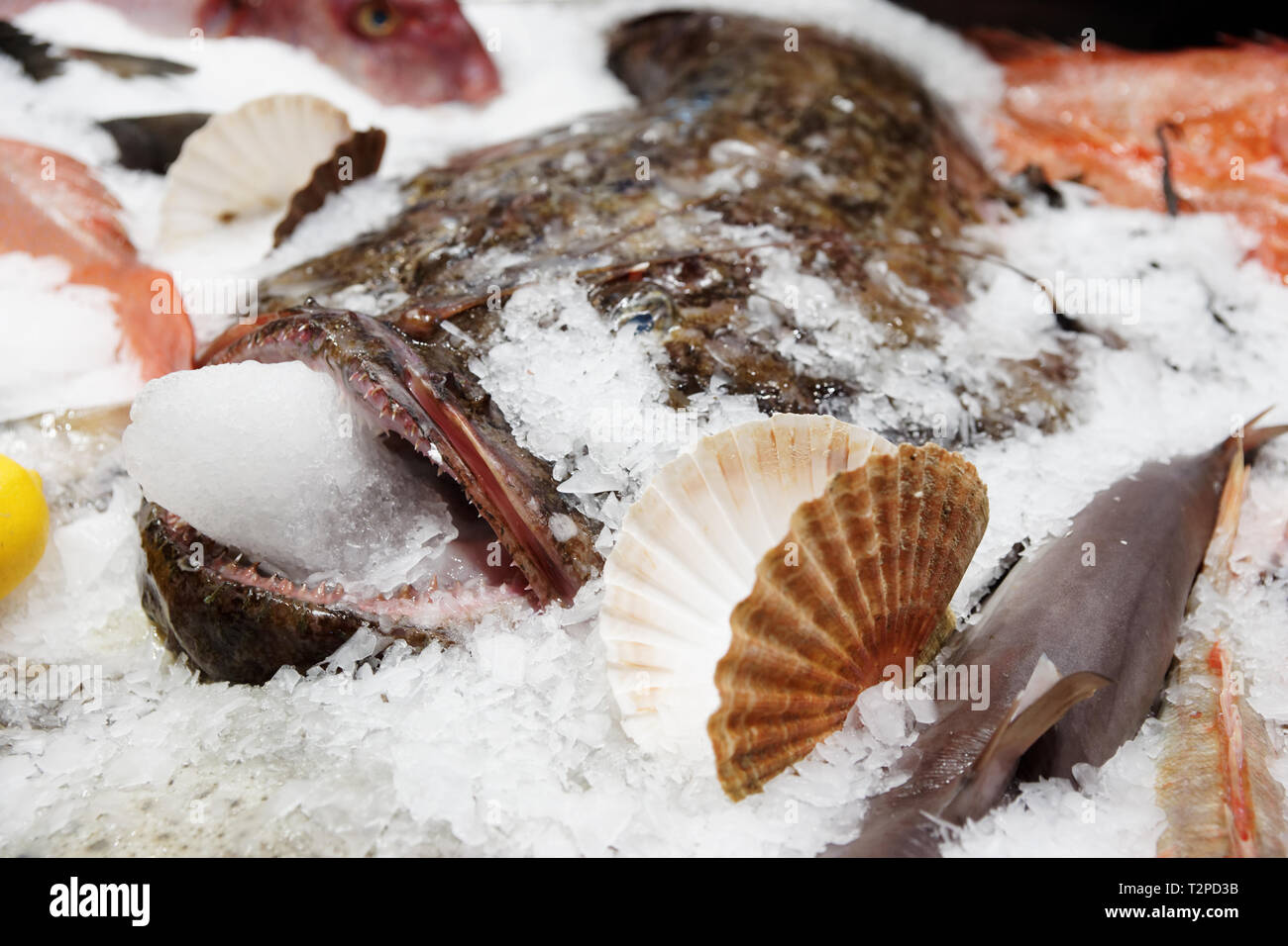 La lotte avec de la glace dans sa bouche sur l'affichage du marché Banque D'Images