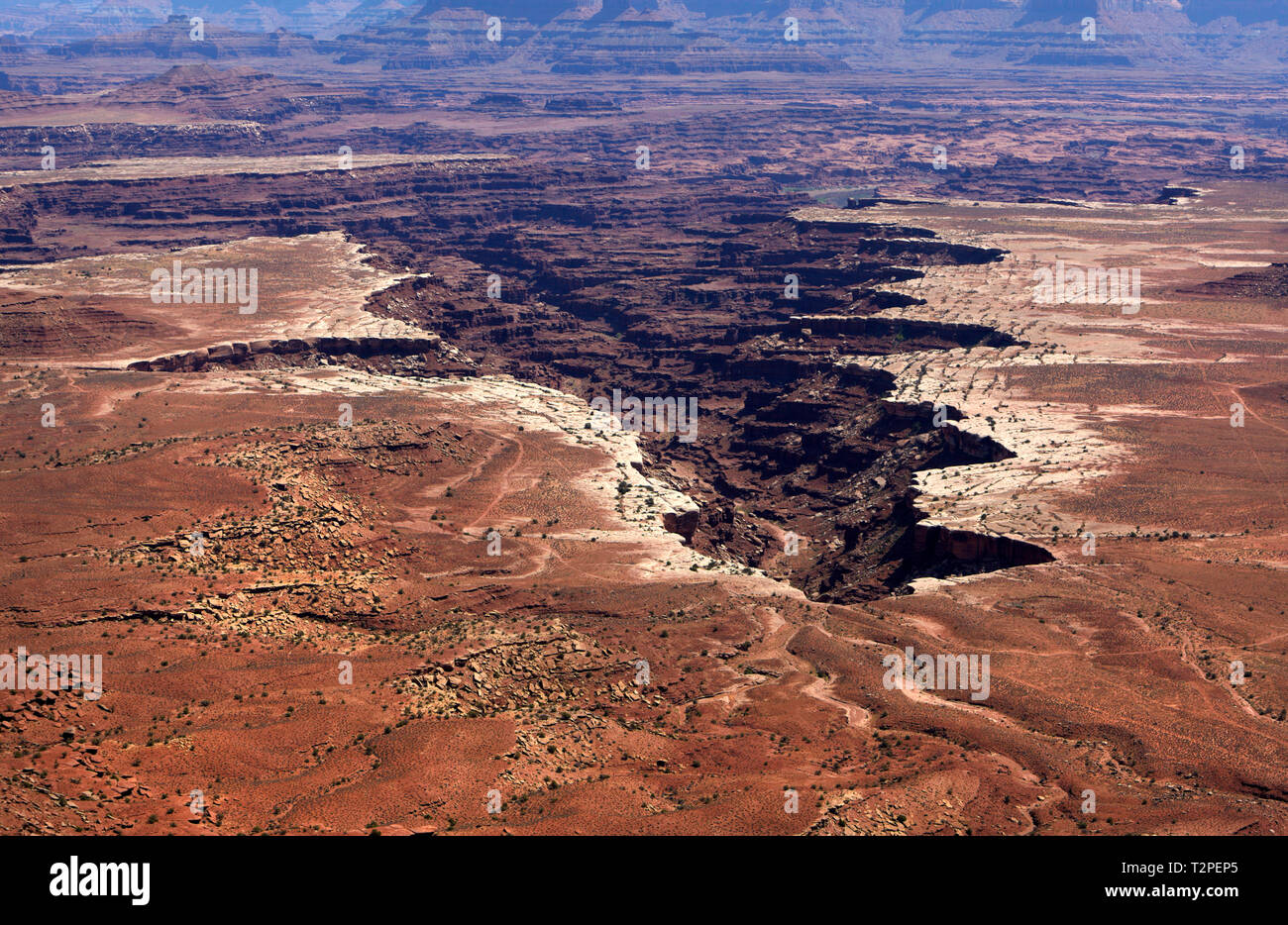 Buck Canyon Overlook, Canyonlands National Park, Utah, l'Amérique. Banque D'Images