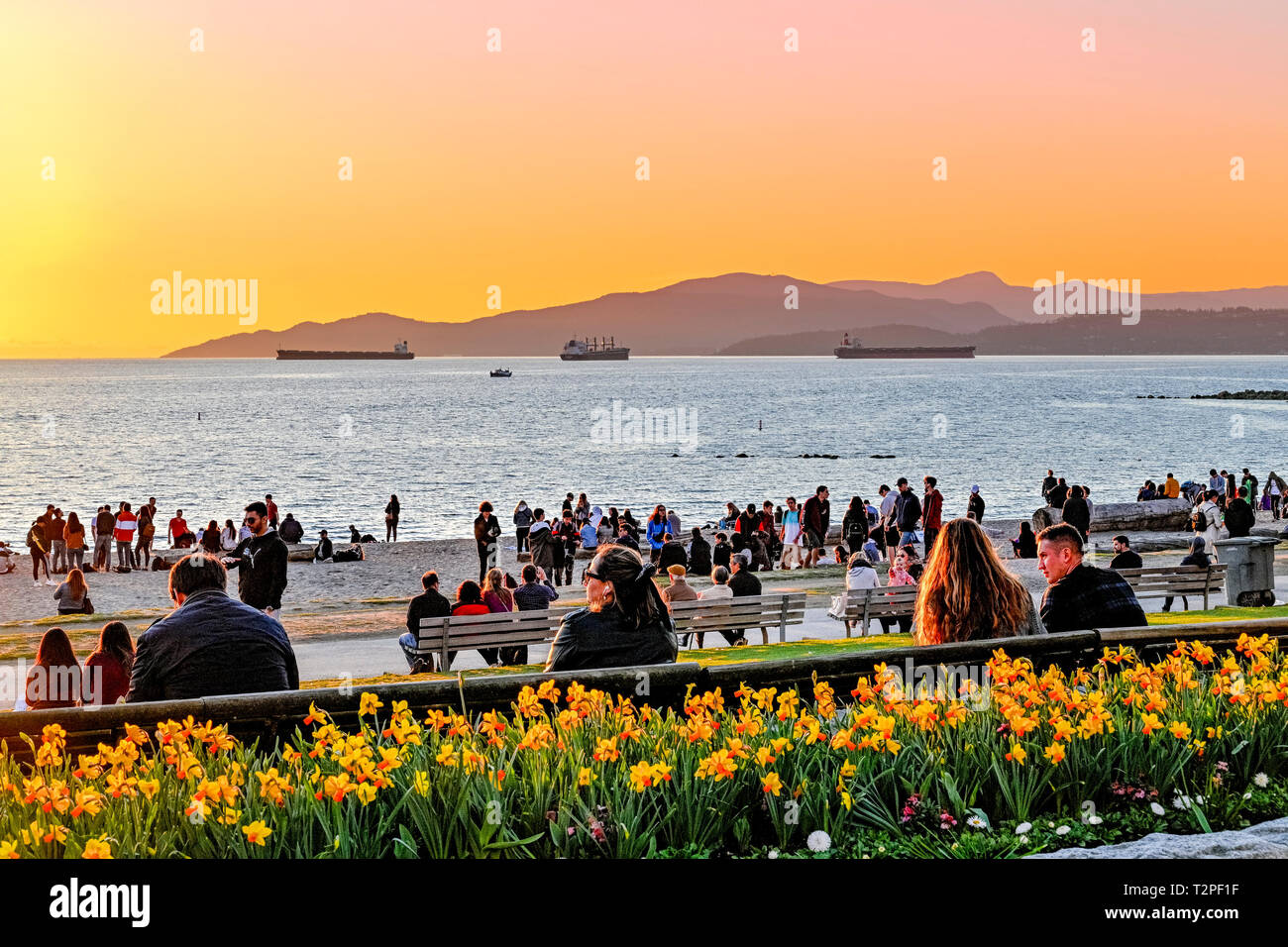 Les personnes bénéficiant de printemps ensoleillée journée à la plage, English Bay, Vancouver, British Columbia, Canada Banque D'Images