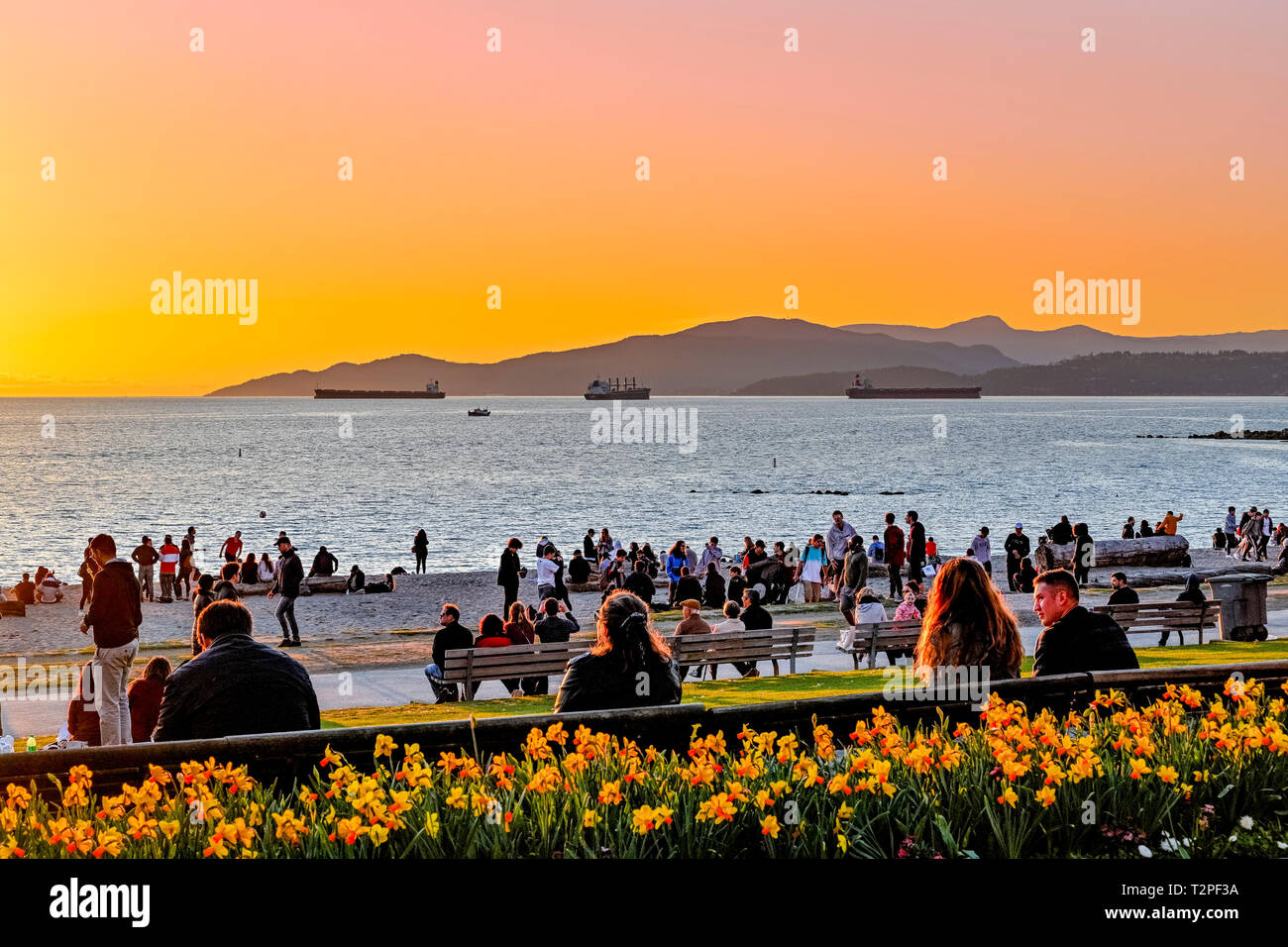 Les personnes bénéficiant de printemps ensoleillée journée à la plage, English Bay, Vancouver, British Columbia, Canada Banque D'Images