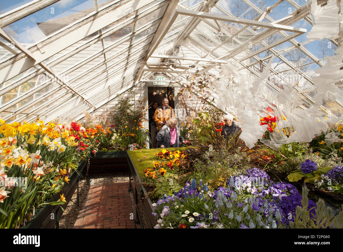 Mount Holyoke College spring présente à South Hadley, Massachusetts. Banque D'Images
