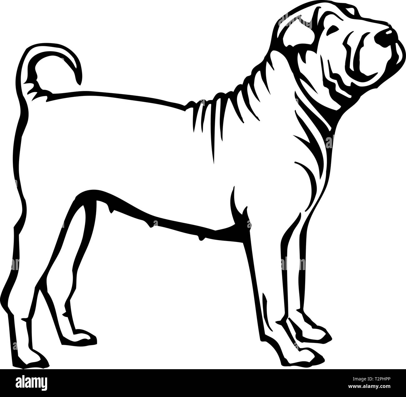 Shar Pei Illustration Illustration de Vecteur