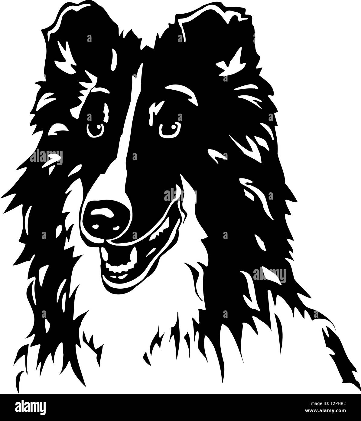 Shetland Sheepdog Illustration Illustration de Vecteur