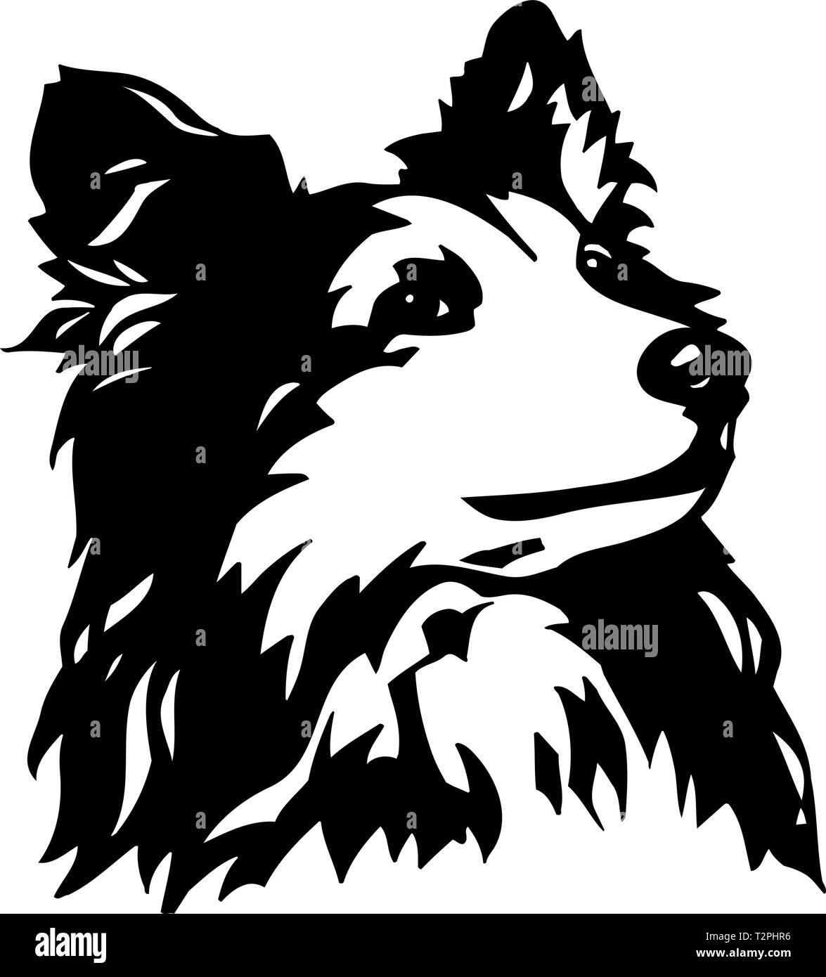 Shetland Sheepdog Illustration Illustration de Vecteur