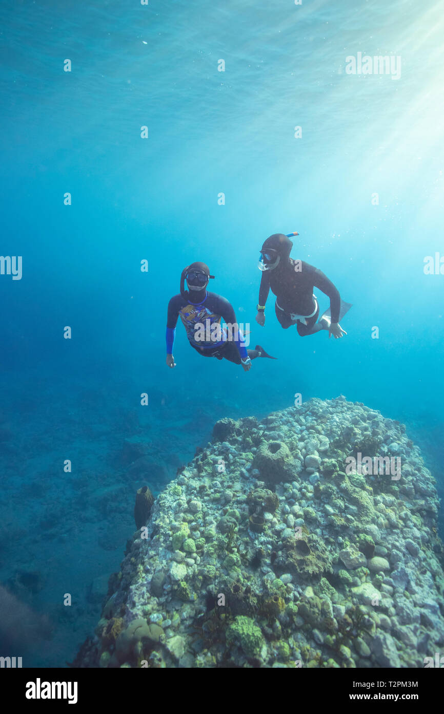 Plongée avec tuba, de la Dominique, des Caraïbes Banque D'Images