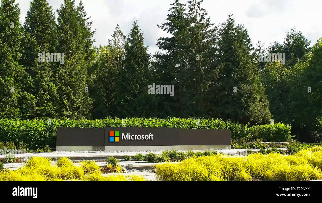 REDMOND, Washington, USA- 3 septembre 2015 : vue d'ensemble sur le logo Microsoft Windows et le nom à leur siège social de Seattle. Microsoft est une multination Banque D'Images