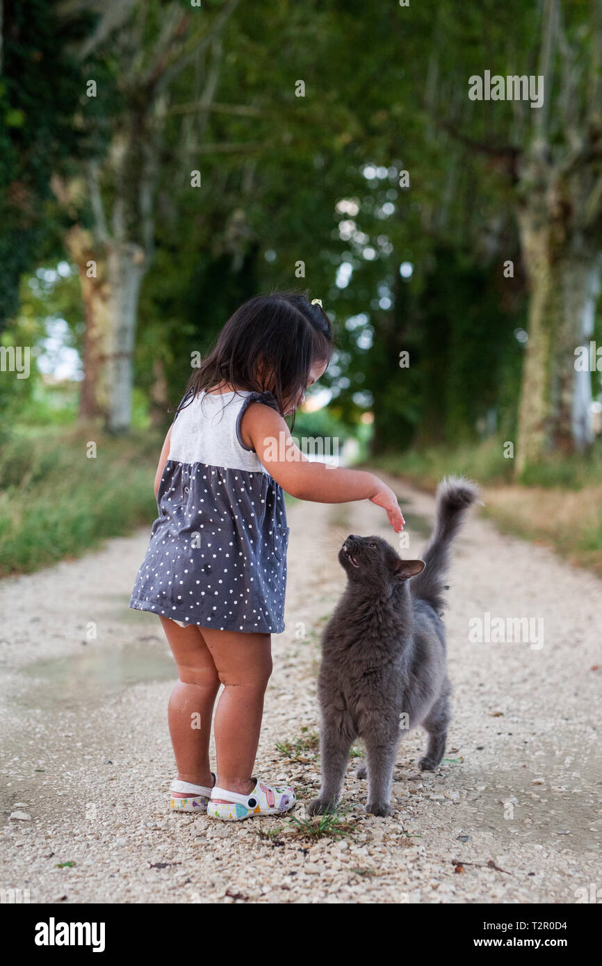 Petite fille et chat Banque D'Images