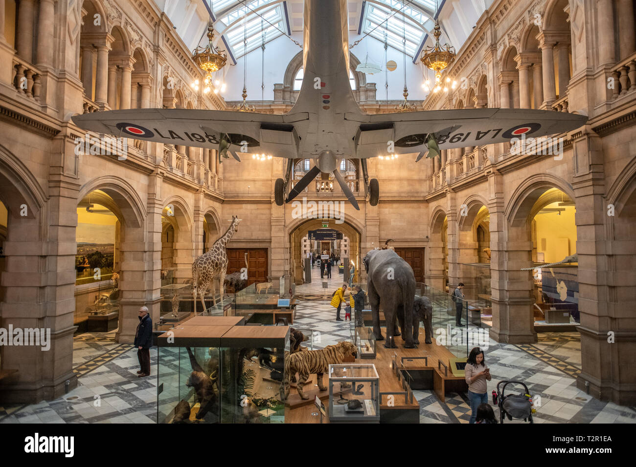 Un avion suspendu dans le hall de la musée de Kelvingrove d'animaux bourrés à Glasgow, Ecosse Banque D'Images