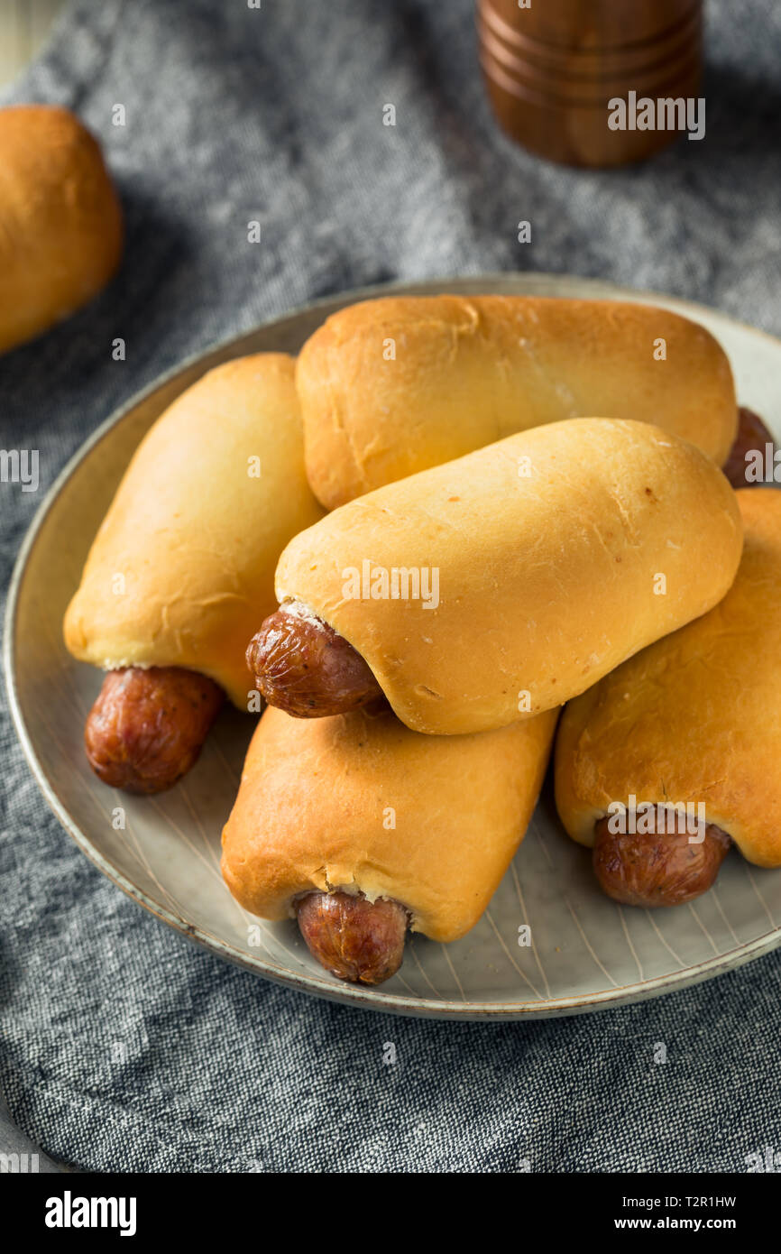 Saucisse de Boeuf maison Kolache prêt à manger Banque D'Images