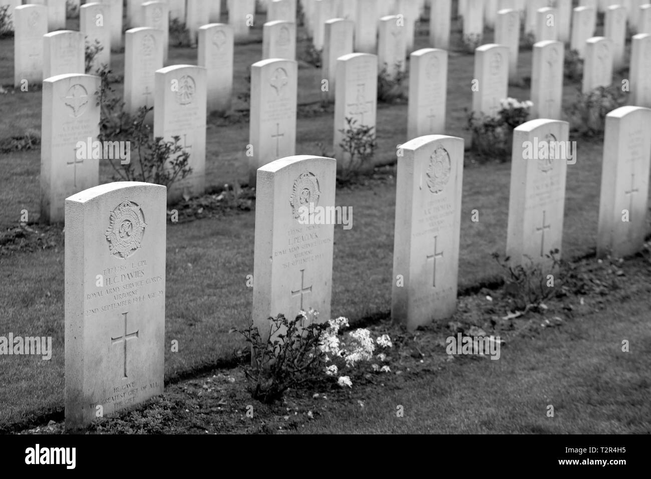 Cimetière de guerre du Commonwealth Oosterbeek Arnhem Hollande Pays-bas 2 Banque D'Images
