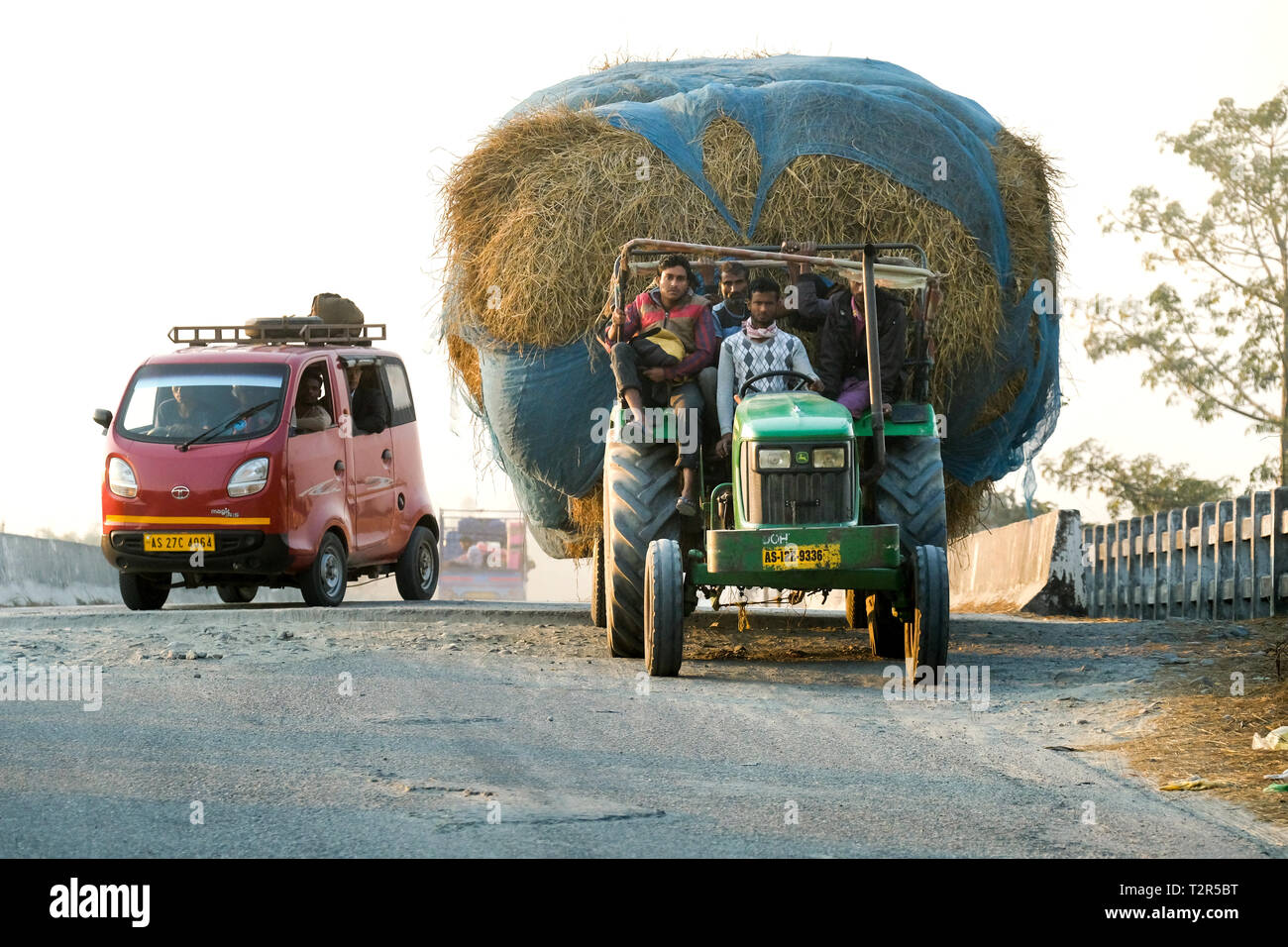 Les agriculteurs en voiture de foin que l'alimentation des bovins, à Ambagon, Assam, Inde --- Bauern fahren Heu, Ambagon Viehfutter als bei, Assam, Indien Banque D'Images