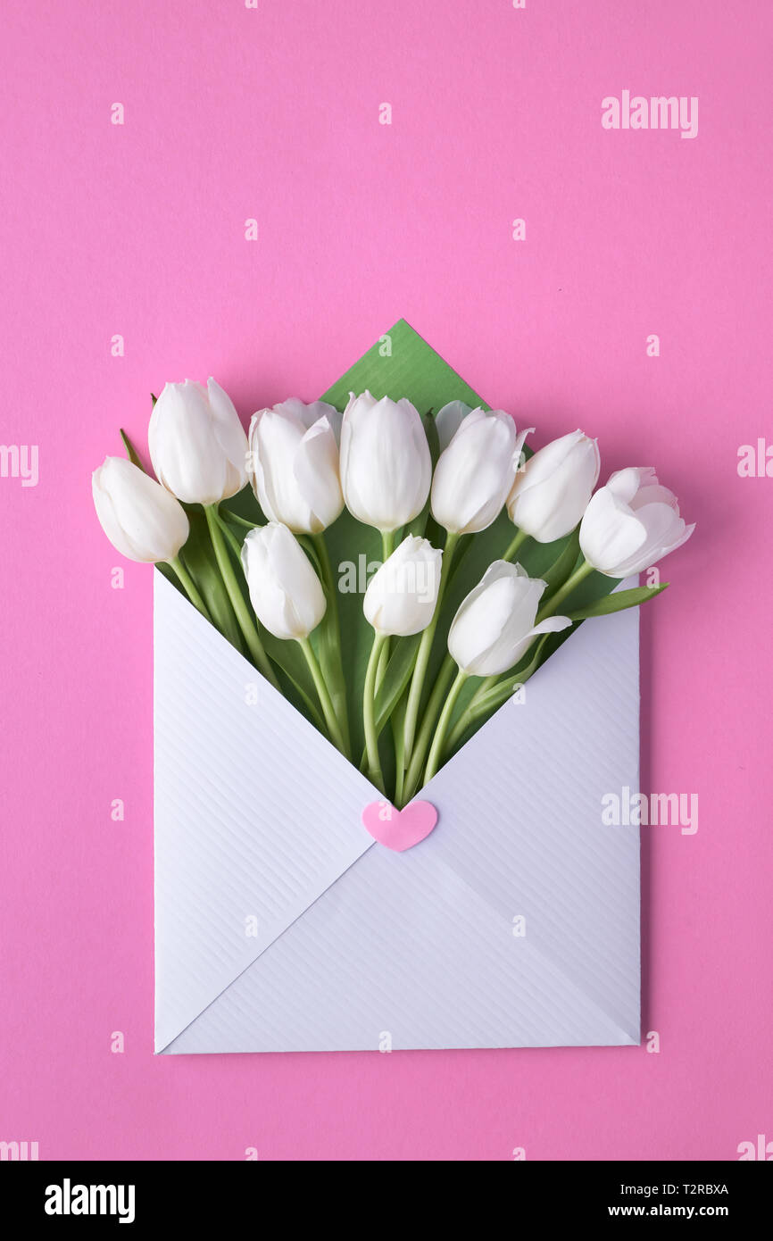 Télévision Printemps des laïcs, des tulipes blanches en blanc et vert sur fond de papier enveloppe rose, copiez-space Banque D'Images