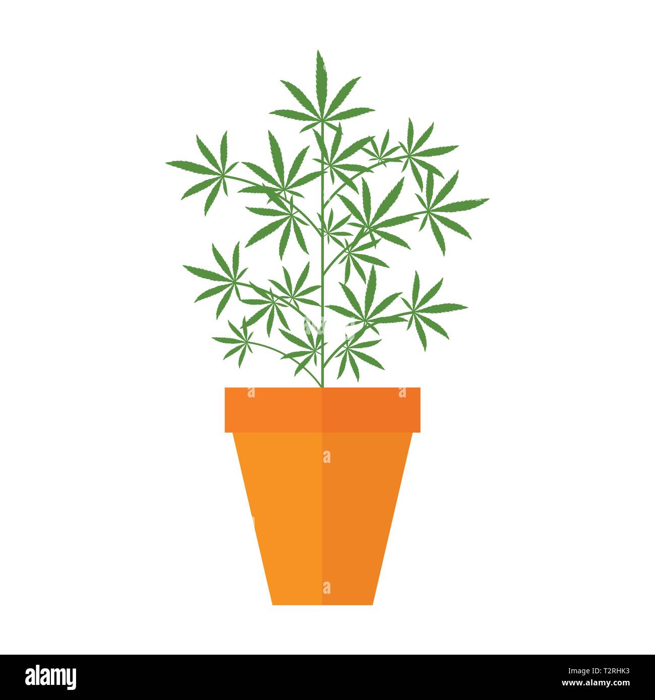 Cannabis Marijuana plante en pot de vector illustration EPS10 Illustration de Vecteur