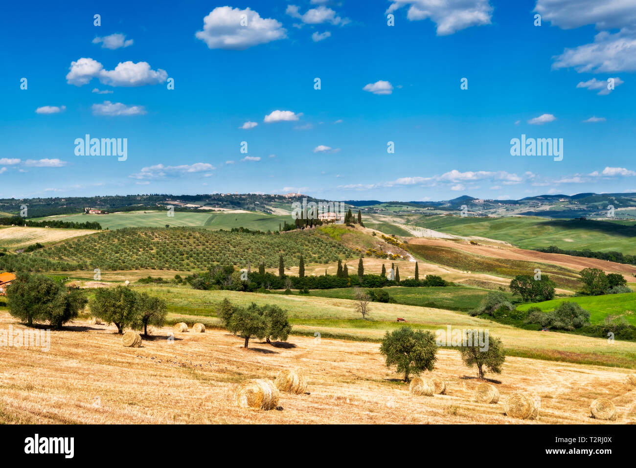 Belvedere ferme dans la vallée de l'Orcia, Province de Sienne, Toscane, Italie, Europe Banque D'Images