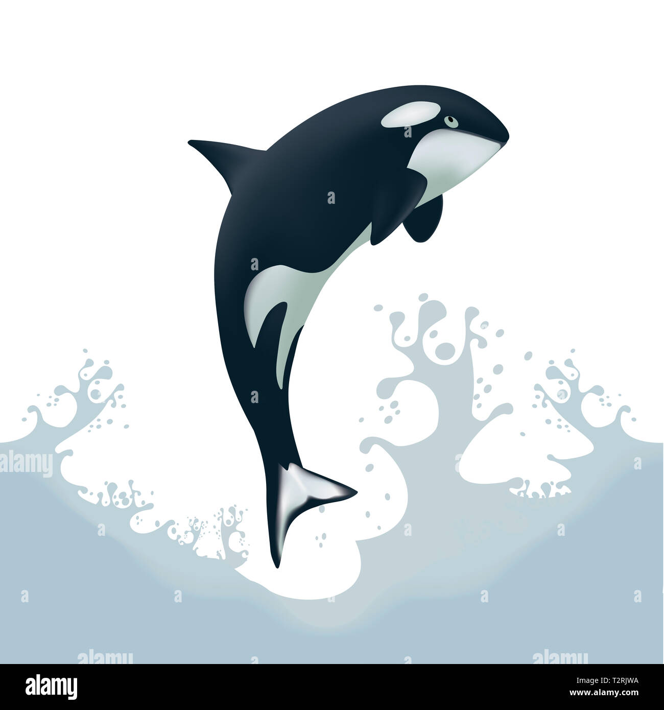 L'Épaulard (Orcinus orca) - sauts hors de l'eau avec splash Banque D'Images