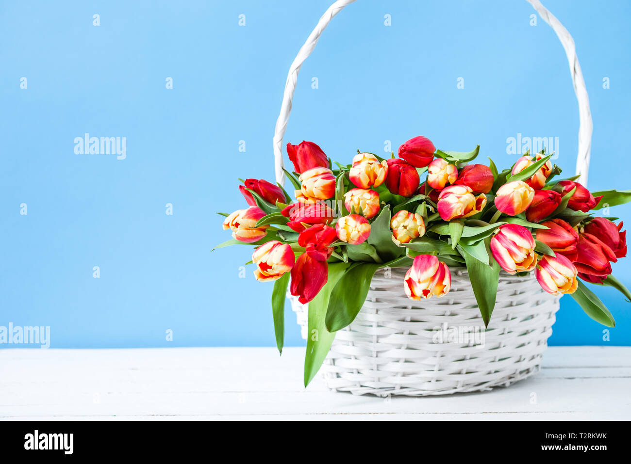 Panier avec bouquet de tulipes. Pâques Printemps des fleurs sur fond bleu ou cadeau de la fête des mères. Banque D'Images