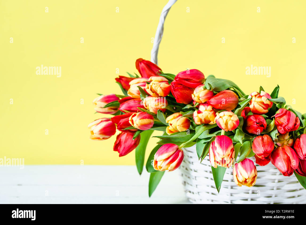 Printemps tulipe de Pâques dans un panier. Bouquet de fleurs sur fond jaune. Banque D'Images