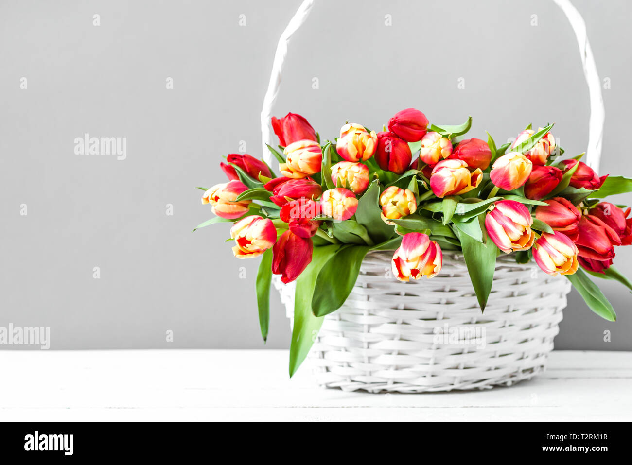 Panier de fleurs de printemps. Bouquet de tulipes sur fond gris utile comme mother's day card. Banque D'Images