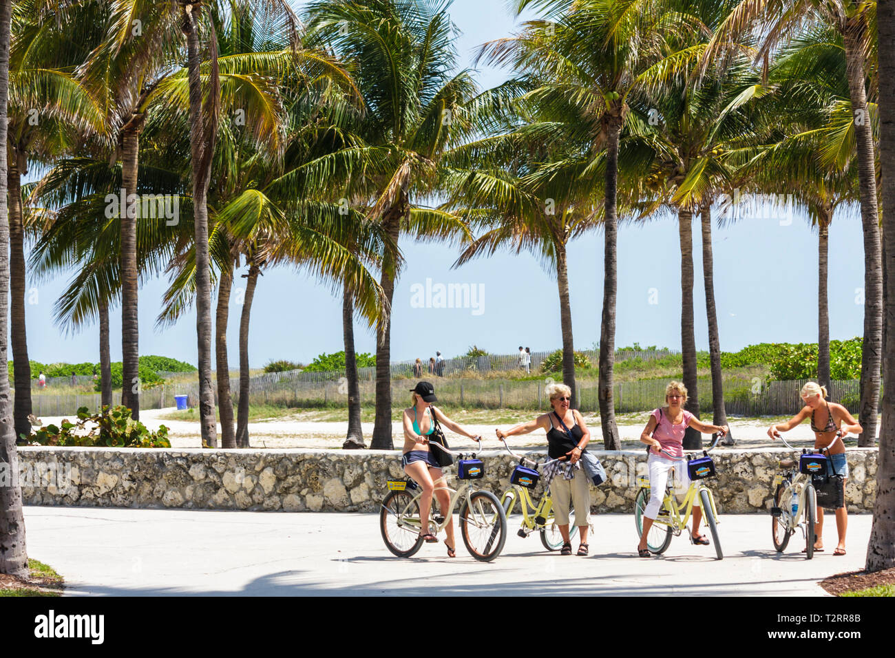 Miami Beach Florida,Lummus Park,Serpentine Trail,mur de corail roc,cococotiers de palmiers,repos,femme femme femme femme,location de vélo,vélo,équitation,vélo, Banque D'Images