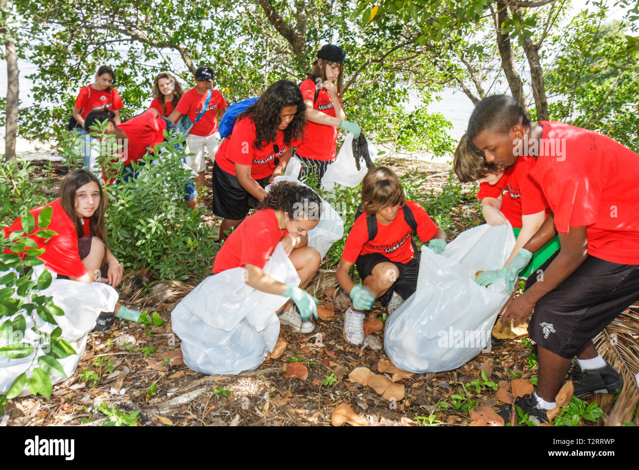 Miami Florida,nettoyer la communauté de nettoyage, bénévoles bénévoles bénévoles travailleurs du travail, travailler ensemble aider, aider les étudiants Hispani Banque D'Images