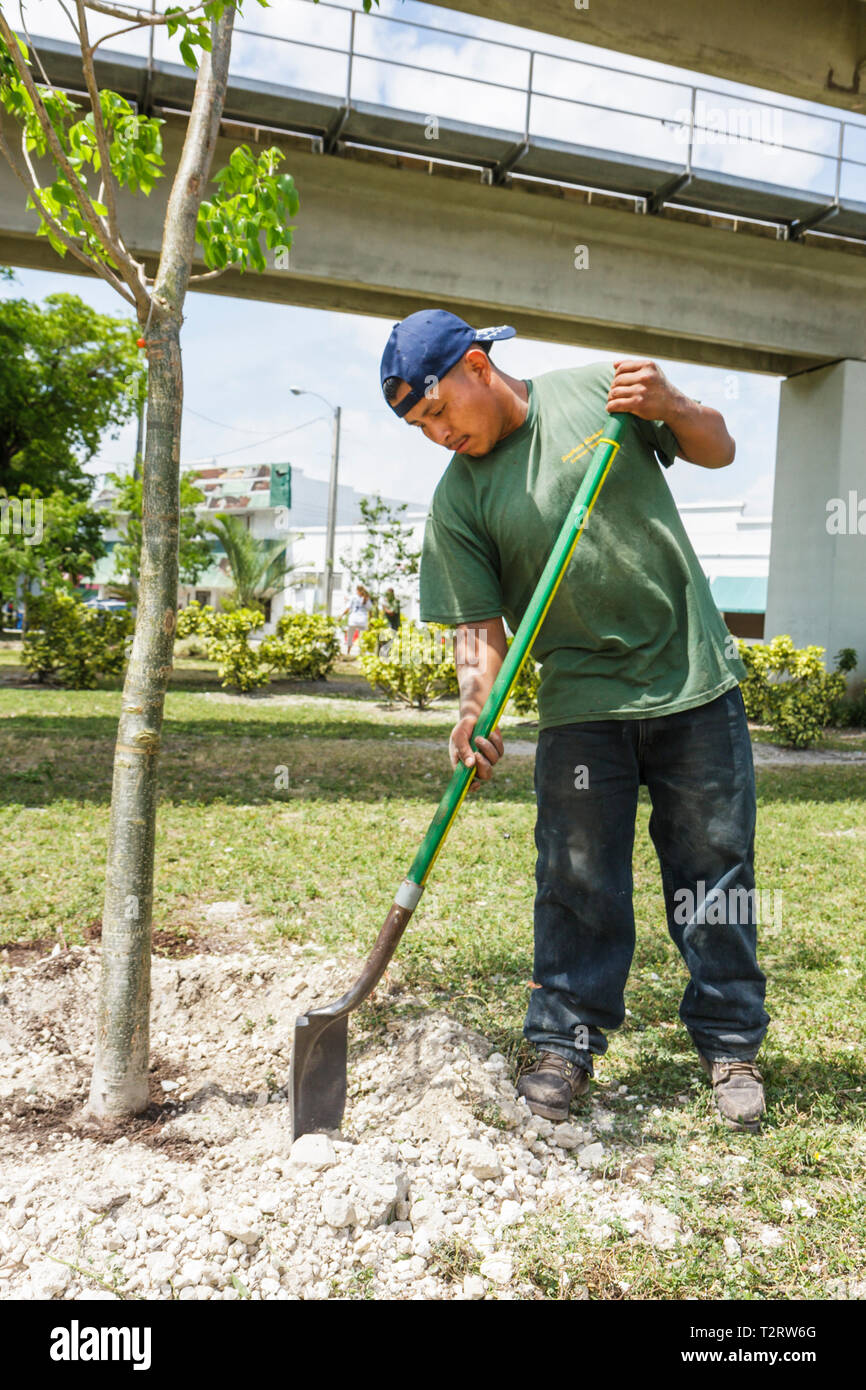 Miami Florida,Overtown,Peace Park,Journée mondiale de la jeunesse,plantation d'arbres,bénévoles bénévoles bénévoles bénévoles bénévoles travailleurs du travail,travail d'équipe togeth Banque D'Images