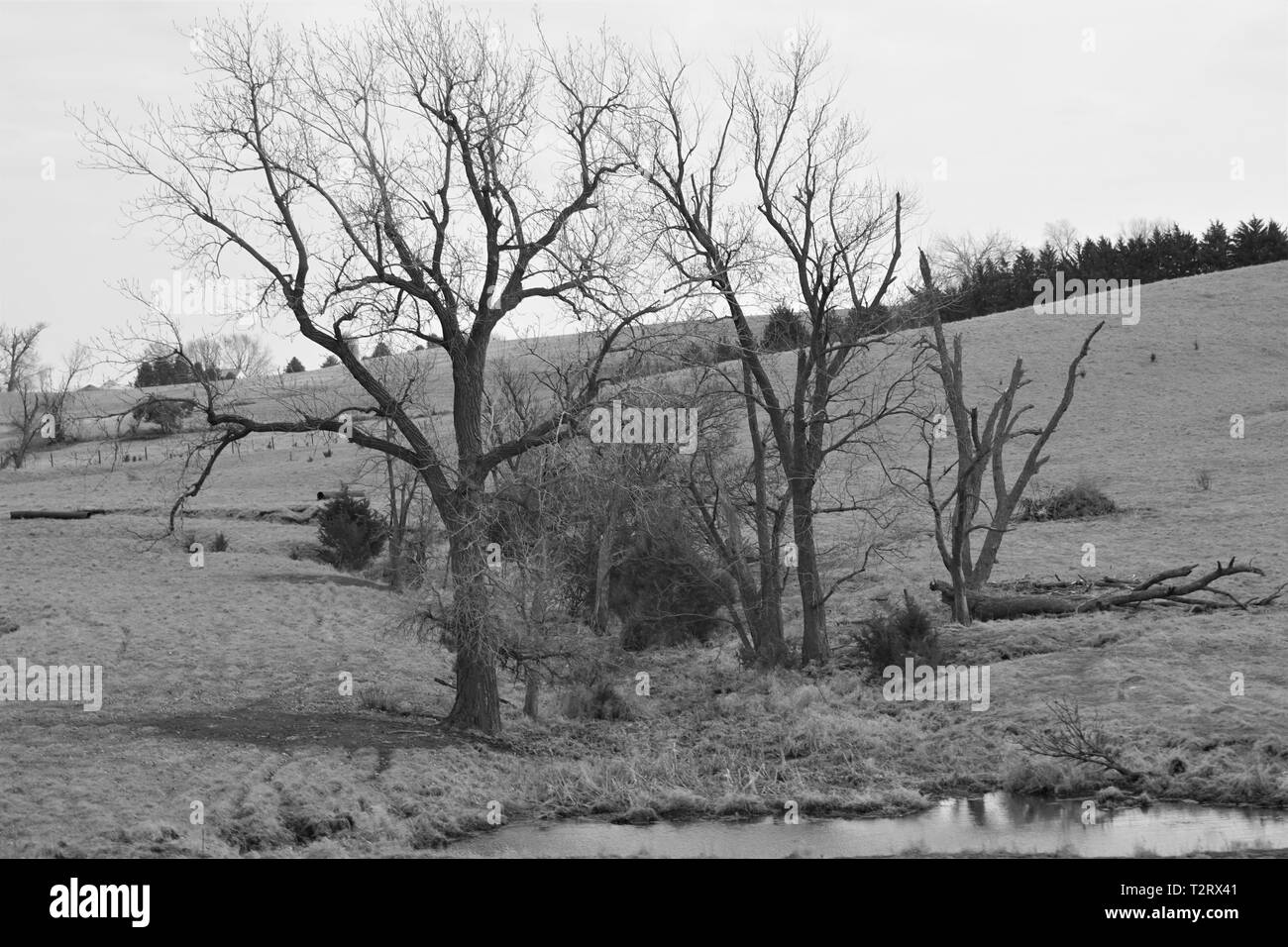 Les paysages variés du Nebraska et de l'Iowa Banque D'Images