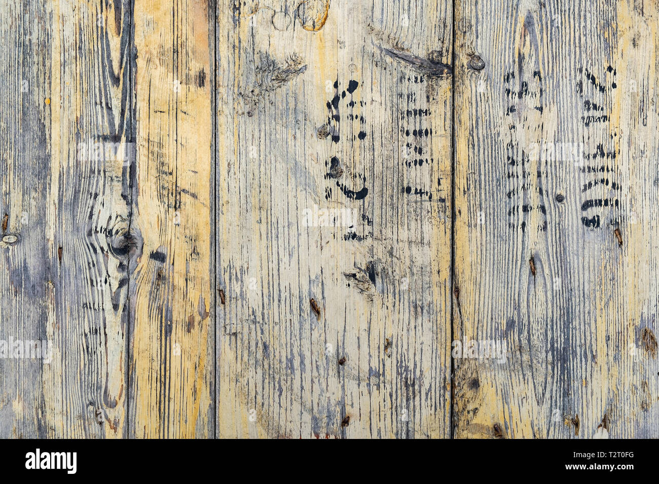 Arrière-plan de textures de bois, arbre naturel Banque D'Images