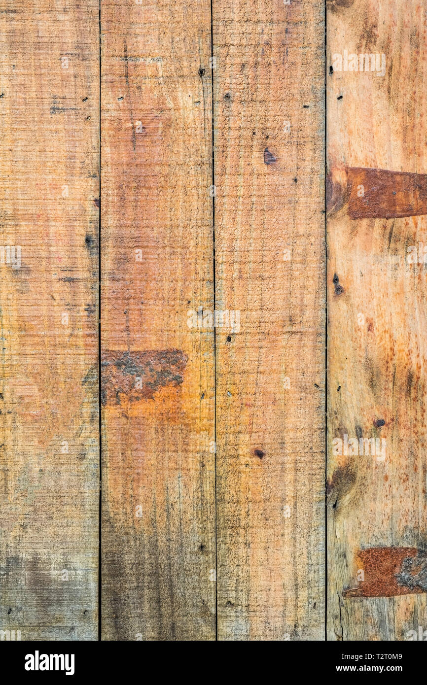 Arrière-plan de textures de bois, arbre naturel Banque D'Images