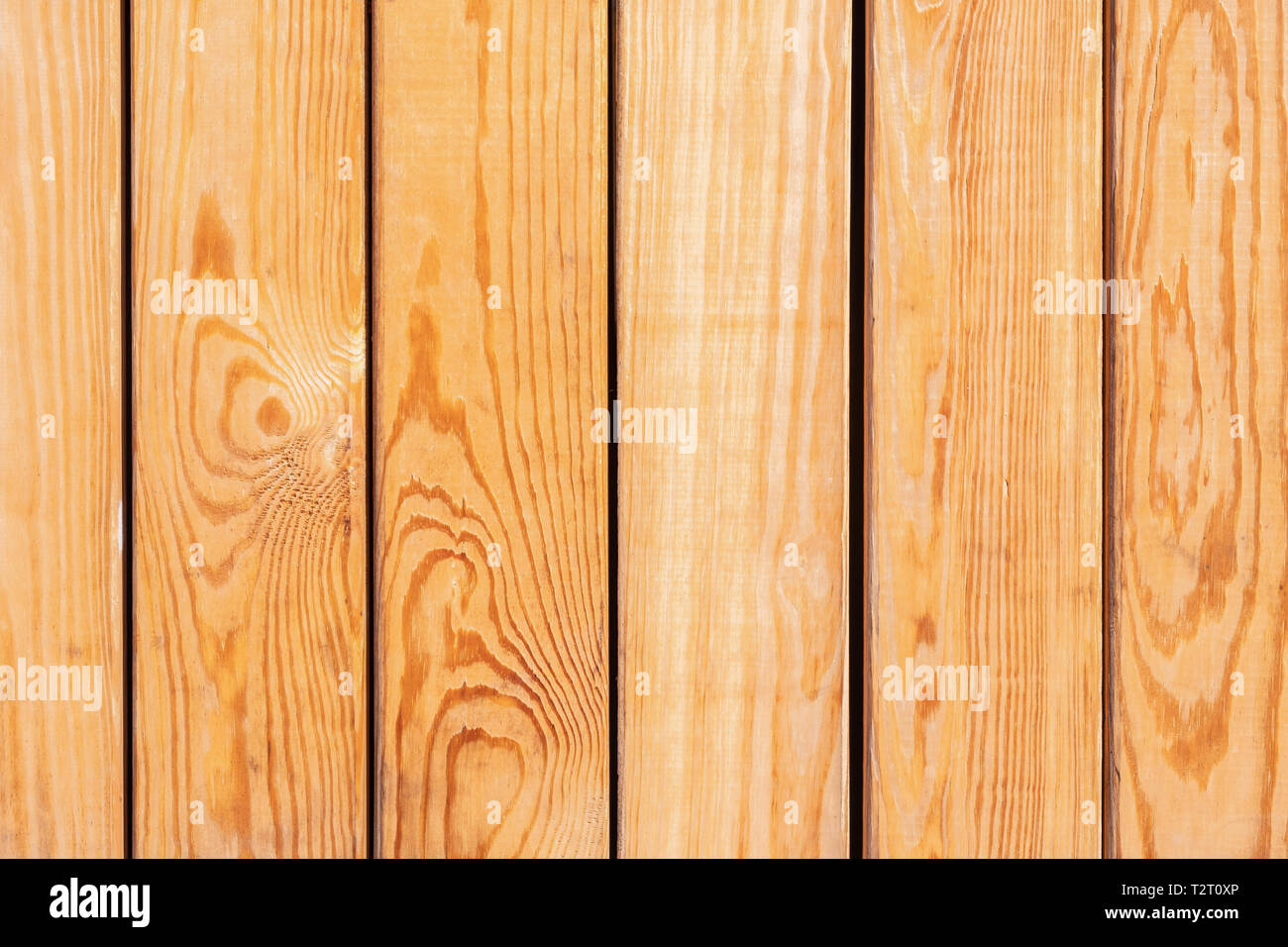Arrière-plan de textures de bois, arbre naturel Banque D'Images