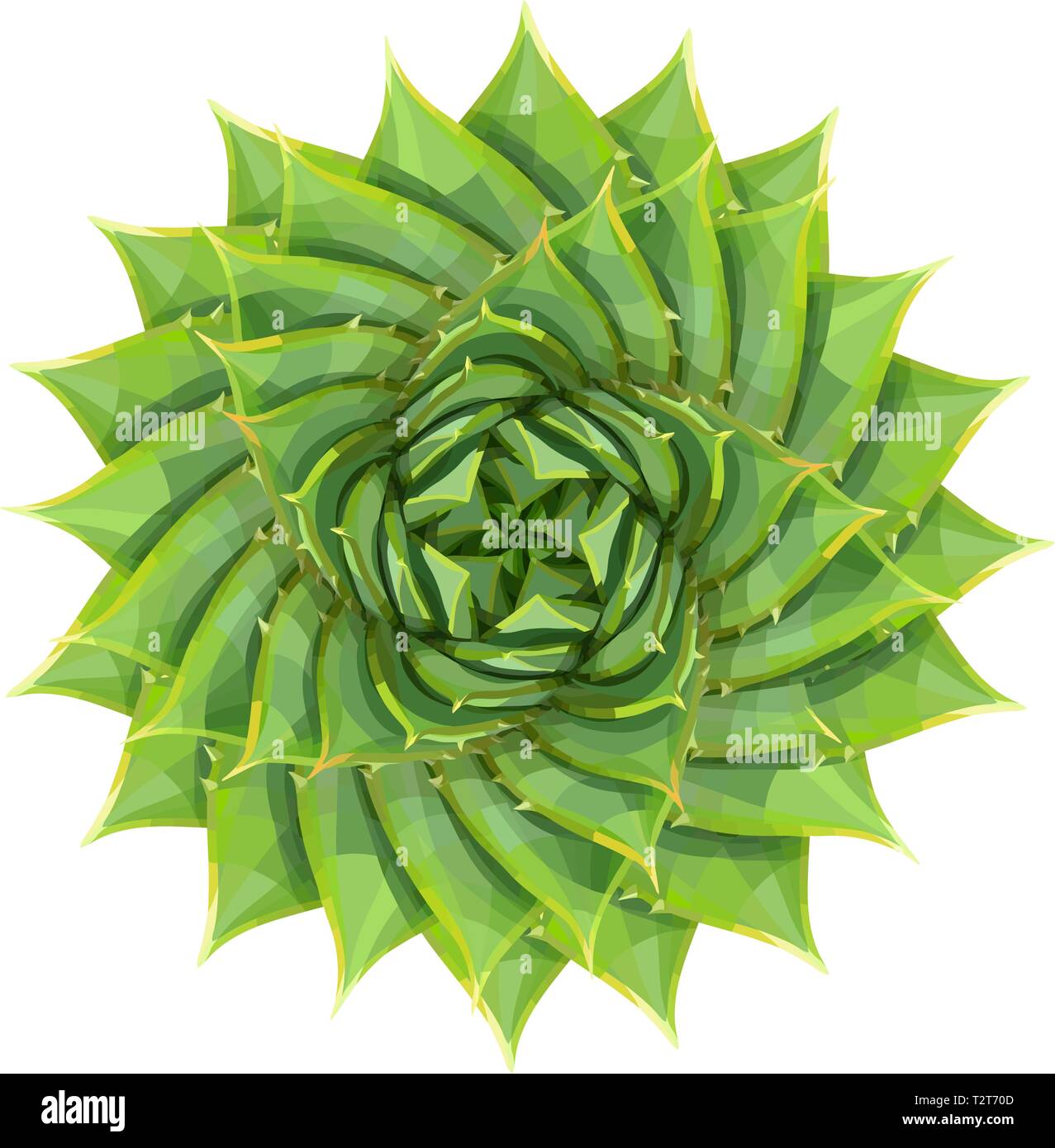 L'aloès spiralé ou plante succulente plante désertique illustration vectorielle, géométrique motif fleur vert Illustration de Vecteur