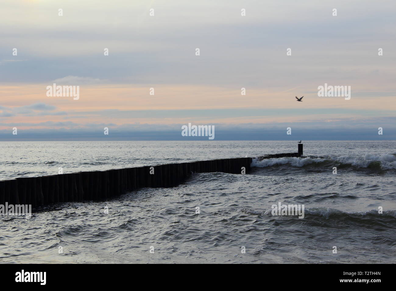 À l'aine à la plage de la mer Baltique d'ustronie morskie, pologne dans le crépuscule du soir Banque D'Images