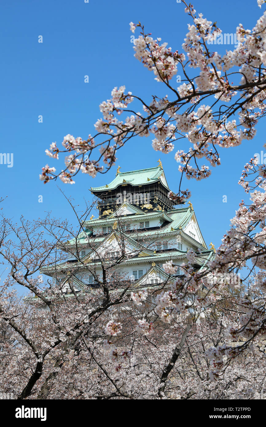 Osaka, Japon. 4ème apr 2019. Le Château d'Osaka vu à travers les branches de cerisiers en fleurs pendant la saison des cerisiers en fleur, Osaka, Japon Crédit : Paul Brown/Alamy Live News Banque D'Images
