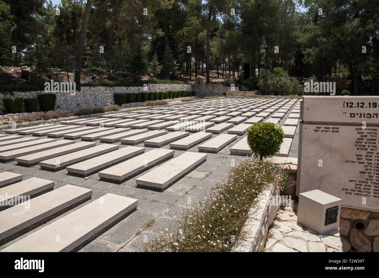 Israël, Jérusalem : tombes dans le cimetière national d'Israël, le Mont Herzl ('Monter du souvenir") *** légende locale *** Banque D'Images