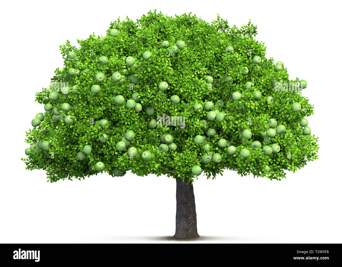 Apple tree isolé 3D illustration Banque D'Images