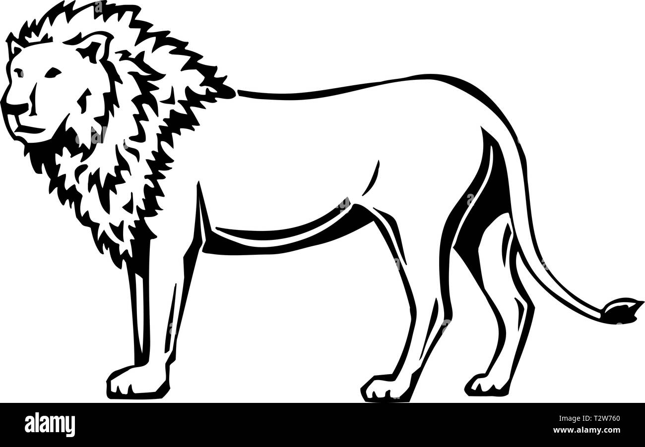 Illustration Lion Illustration de Vecteur