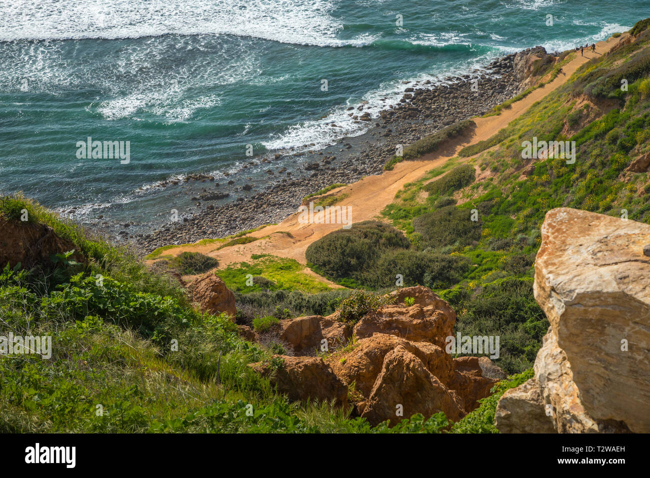 Des couleurs sur le littoral de Bluff Cove sur une journée ensoleillée au printemps de l'eau de couleur turquoise et d'un rivage rocailleux, un panorama sur la th Banque D'Images