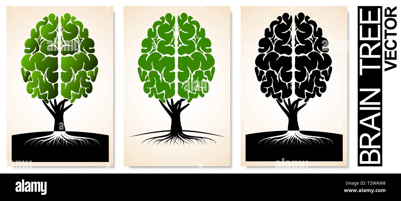 Un arbre avec des racines et une couronne semblable à celle du cerveau humain. Logo ou l'emblème de l'éducation, de la science ou de l'école Illustration de Vecteur