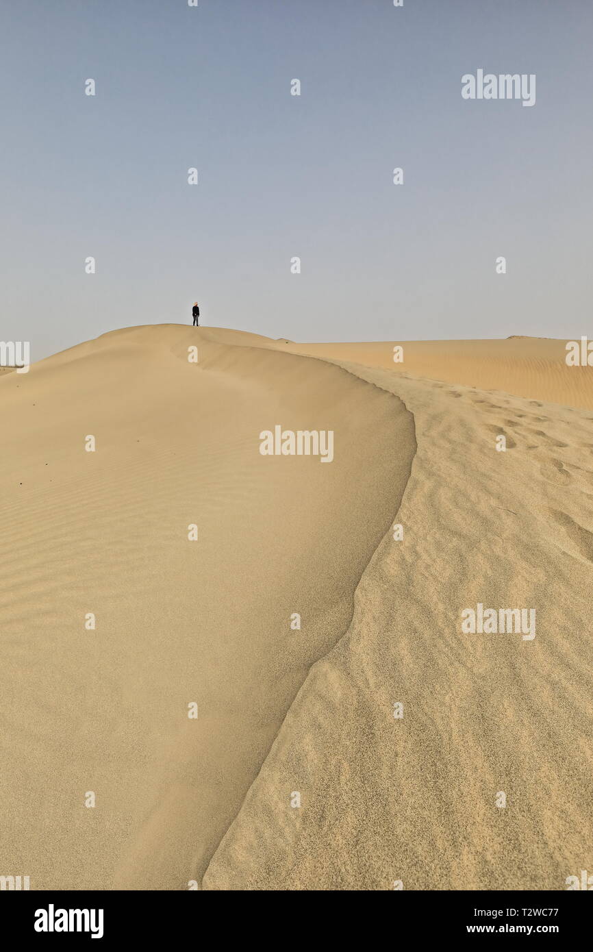 Déplacement des dunes de sable-désert de Takla Makin. Préfecture de Hogan-Xinjiang région d'Uyghur-Chine-0006 Banque D'Images