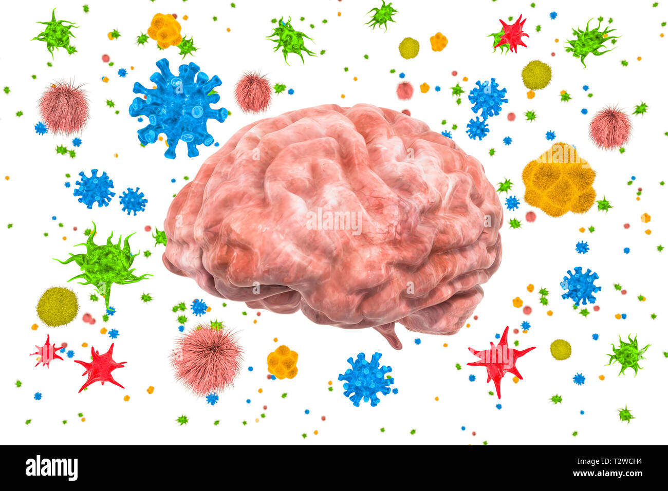Cerveau avec les virus et bactéries. Maladies du cerveau, rendu 3D concept isolé sur fond blanc Banque D'Images