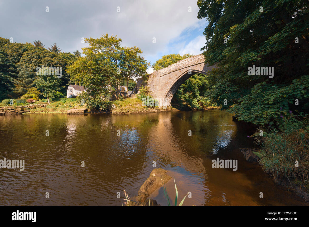 Brig o' Balgownie (vieux pont de Don) est un 13e siècle pont sur la rivière Don à Old Aberdeen, Aberdeen, Ecosse Banque D'Images