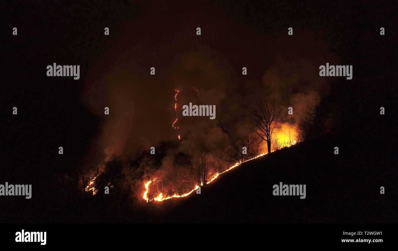 Feu de forêt la nuit, feu, fire, montagne, bois brûlé Banque D'Images